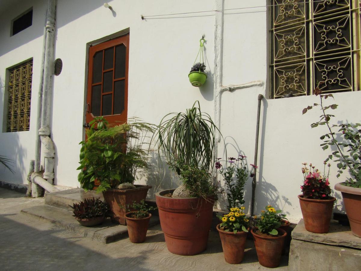 Nadya Homestay For Female & Family Divisione di Divisione di Jaipur Esterno foto